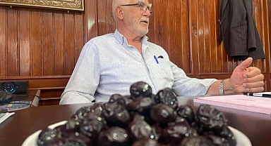 Gemlik'in Katırlı Köyü Zeytini İsviçre Sofralarında