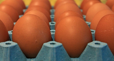 Kabuğun içindeki sağlık: Yumurta