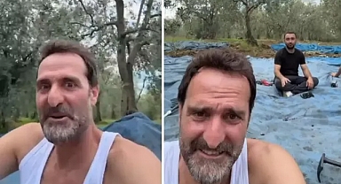 'Köfte Necmi' Timur Acar, İznik'te İlk Zeytin Hasadını Yaptı