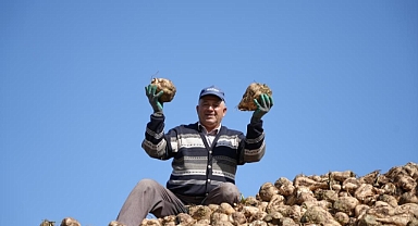 Tarım ve Orman Bakanlığı: Pancarda Üretim Kısıtlaması Yok