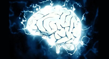 Bilim İnsanları: Beyin 5 Gelişim Evresinden Geçiyor, Ergenlik 32 Yaşına Kadar Sürüyor