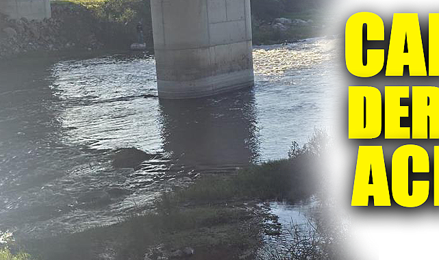 Bursa'da 10 yaşındaki Hızır Ali Hayatını Kaybetti