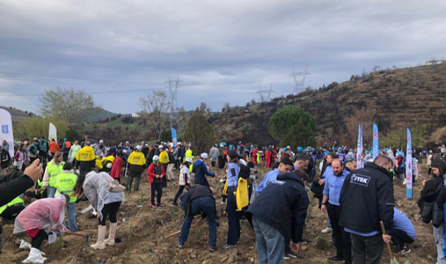 Bursa’da Yanan Ormanlar Milli Ağaçlandırma Günü’nde Yeniden Yeşeriyor