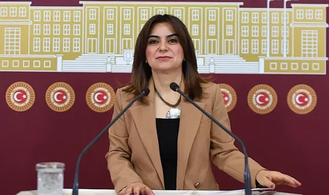 Gülistan Koçyiğit: Öcalan, CHP'nin İmralı Sürecinde Olmasını Önemli Buluyor