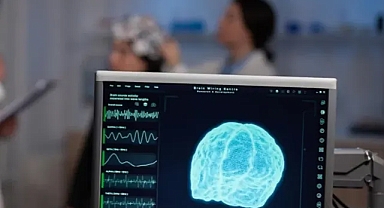 İnsan Beyni Yaşam Boyunca 5 Gelişim Evresinden Geçiyor