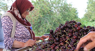 Türkiye Dondurulmuş Gıdada Dünya Pazarında Hızla Yükseliyor