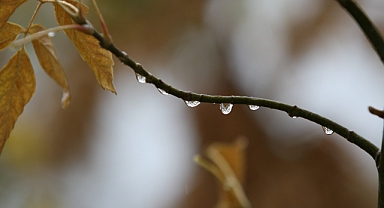 Bursalı çiftçilerin yüzü yağışlarla güldü