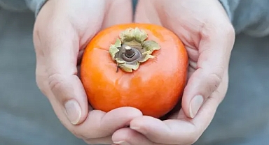 Cennet Hurması Kış Aylarının Şifa Kaynağı