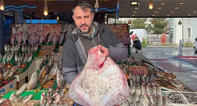 Fatih'te Kalkan Balığı Fiyatları 2025