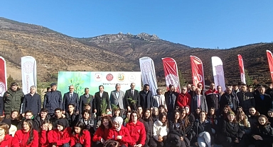 Gürsu Yeniden Yeşeriyor: Öğrenciler Binlerce Fidan Dikti