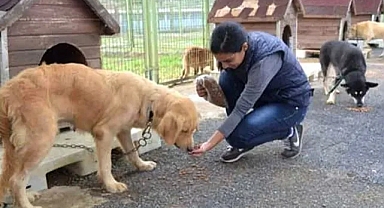 Hawe-mi.com Yunuseli Festivalinde Büyük İlgi Gördü