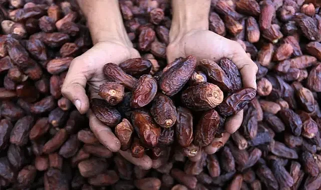 Ticaret Bakanlığı'ndan Filistin'e Destek