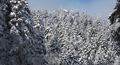 Uludağ’da göz gözü görmüyor