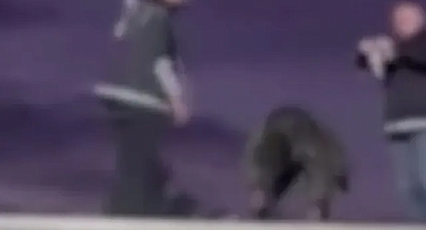 Diyarbakır'da Atık Tankerinde 32 Afgan Göçmen Yakalandı: 4 Organizatör Tutuklandı