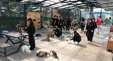 Yıldırım Belediyesi Cumalıkızık Sahipsiz Hayvan Bakımevi Gençleri Ağırladı